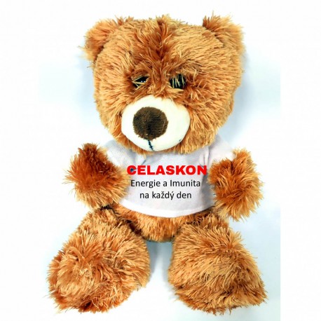 Plyšový medvěd